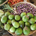 Bagan, Myanmar, Local Market for Vegetables, Fish, and other products